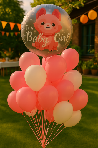pol_pl_Balon-w-Balonie-Foliowy-Piesek-Baby-Girl-60cm-69cm-5534_3.png