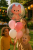 pol_pl_Balon-w-Balonie-Foliowy-Piesek-Baby-Girl-60cm-69cm-5534_2.png