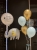 IMG_0011.jpeg