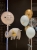 IMG_0012.jpeg