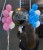 IMG_1579.jpeg