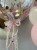 IMG_5140.jpeg