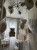 IMG_0133.jpeg