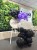 IMG_1251.jpeg