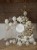 IMG_4873.jpeg